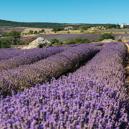 Serre Des Ormes - Cycling, Walking & Running Retreat Salerans Екстериор снимка