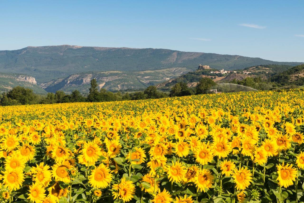 Serre Des Ormes - Cycling, Walking & Running Retreat Salerans Екстериор снимка